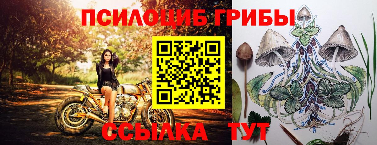 Горно-Алтайск  Псилоцибиновые грибы Cubensis  Вход с VPN  Псилоцибиновые грибы Psilocybe 