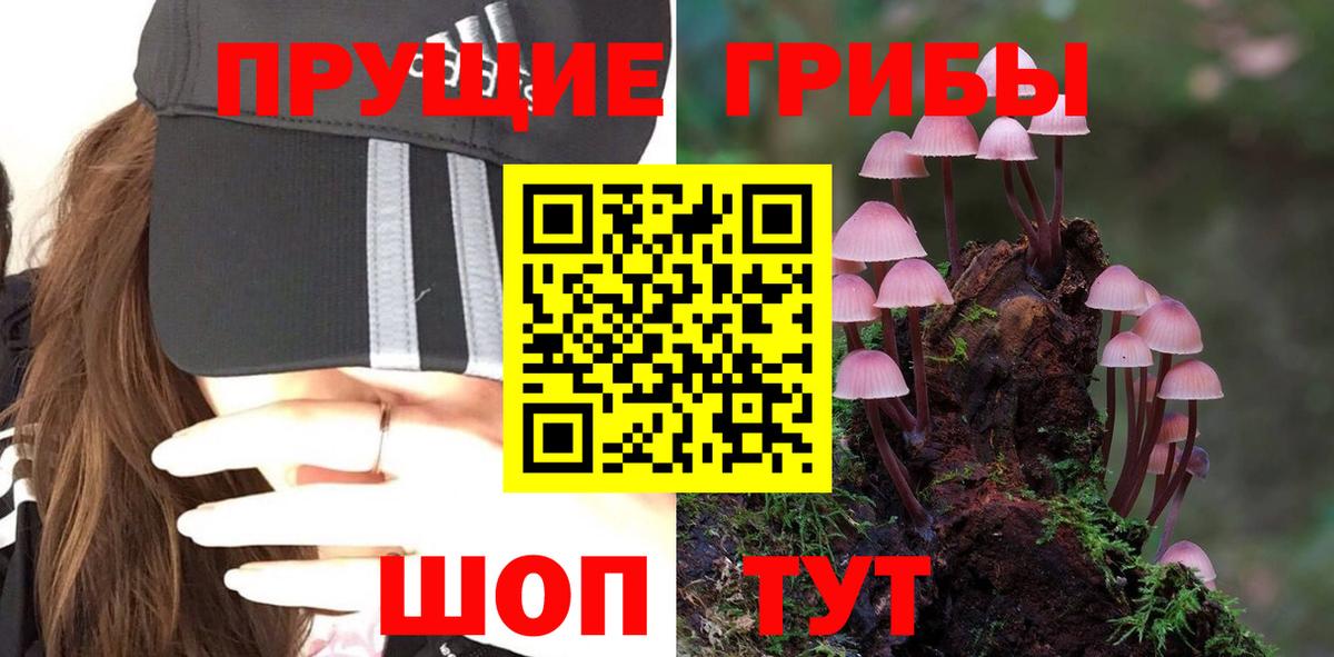 Псилоцибиновые грибы Magic Shrooms Горно-Алтайск